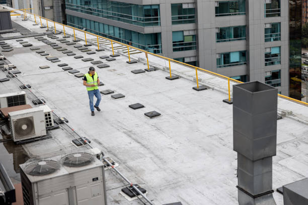 Best Skylight Installation and Repair  in Wilkinson Heights, SC