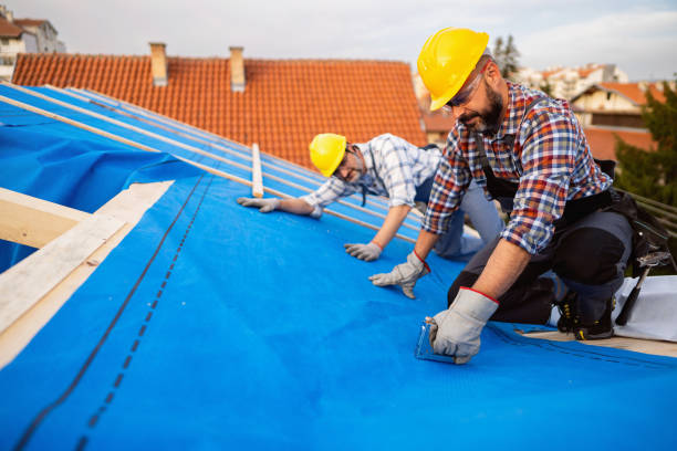 Steel Roofing in Wilkinson Heights, SC