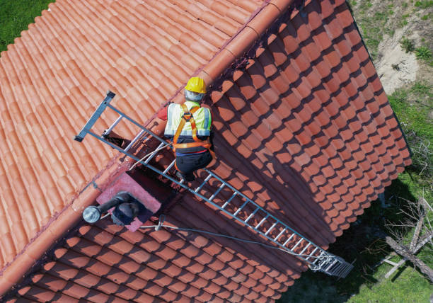 Best Asphalt Shingle Roofing  in Wilkinson Heights, SC