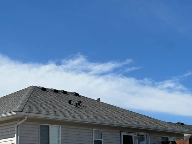 Best Metal Roofing Installation  in Wilkinson Heights, SC
